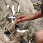 IMG-20260906-WA0013